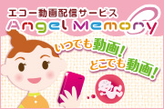 エコー動画配信サービス「AngelMemory」